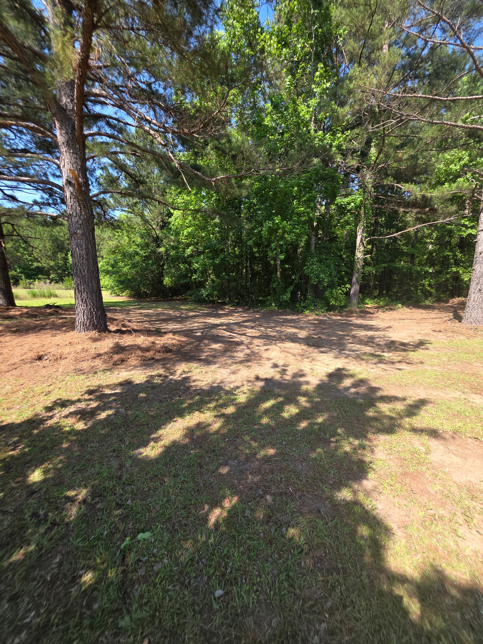 Cleared Property by C&L Services