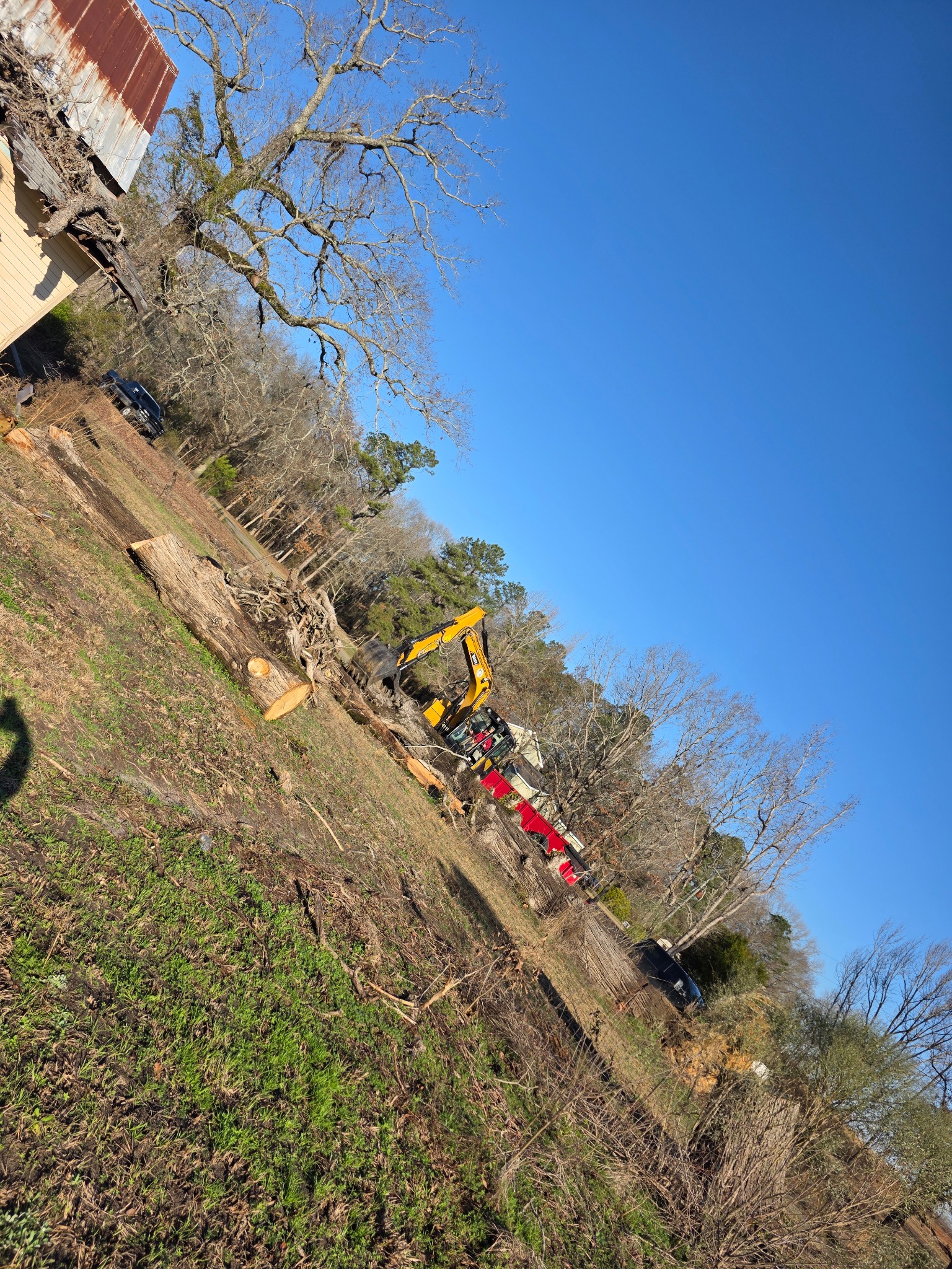 Tree & Site Clearing by C&L Services