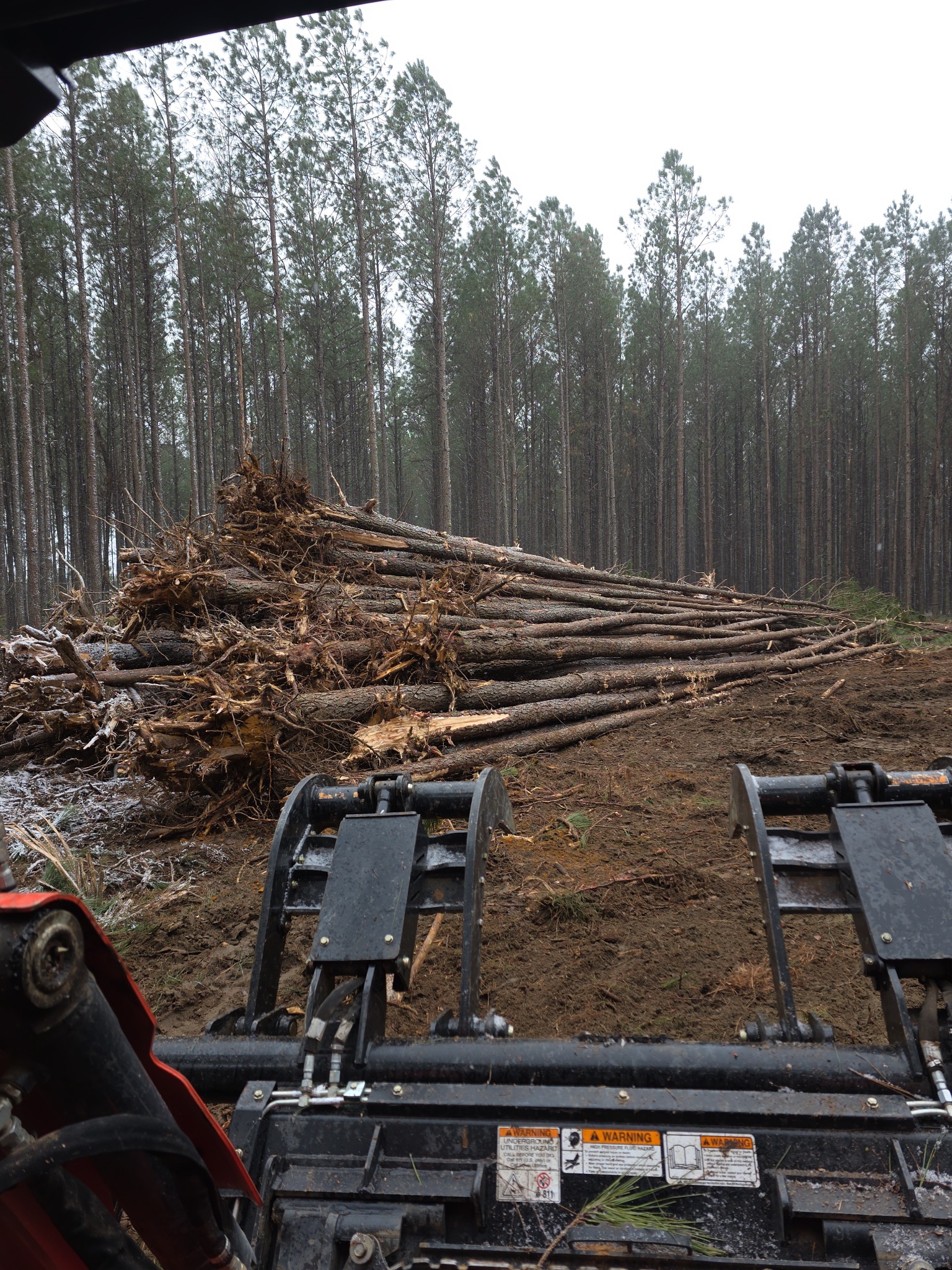 Timber Clearing by C&L Services